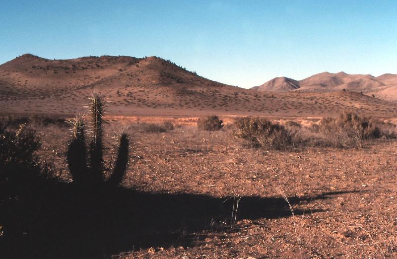 191_Bei Copiapo 